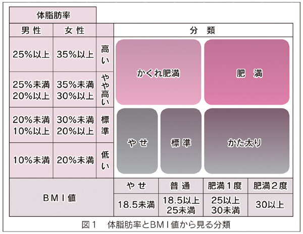 体脂肪を減らす食事 体重を落とすことより栄養のバランスを重視 健康情報 利根中央病院