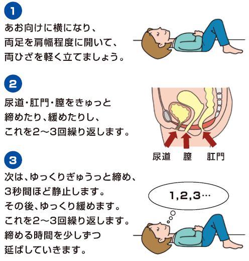 骨盤底筋体操のすすめ 骨盤底筋を鍛えて尿漏れ予防 健康情報 利根中央病院